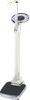 Weight Scale With Height